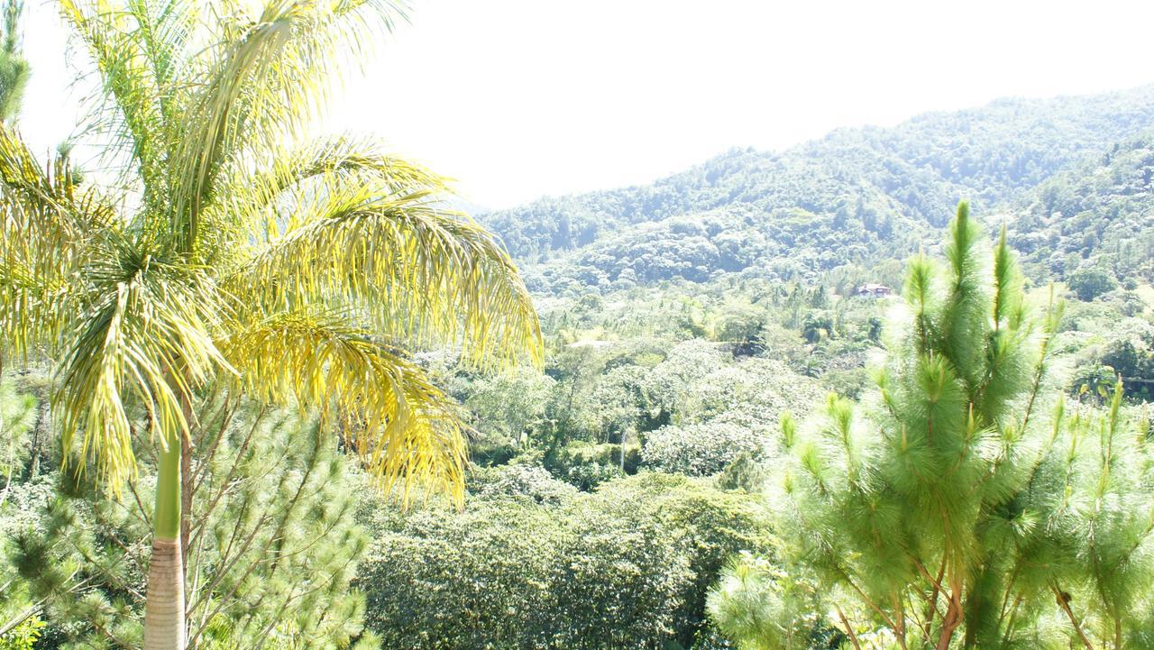 Hotel Rancho La Aurora جاراباكو المظهر الخارجي الصورة